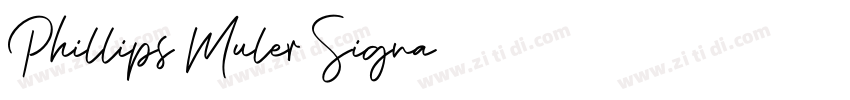 Phillips Muler Signa字体转换